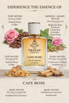 THE TRINAY ESSENCE CAFE ROSE